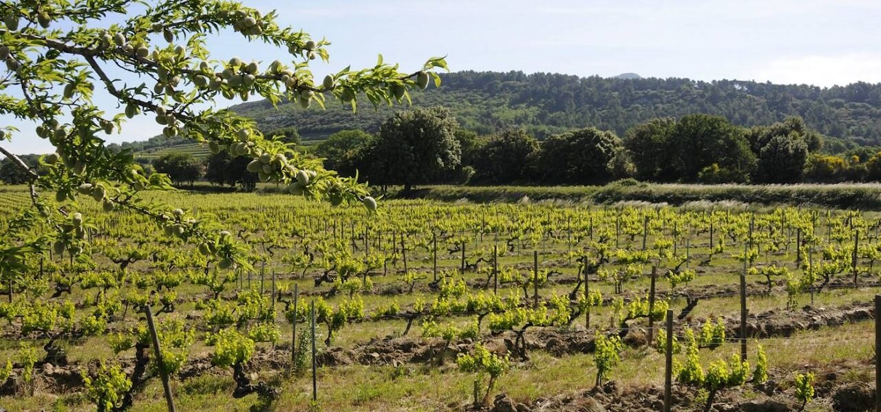 Domaine la Monardière