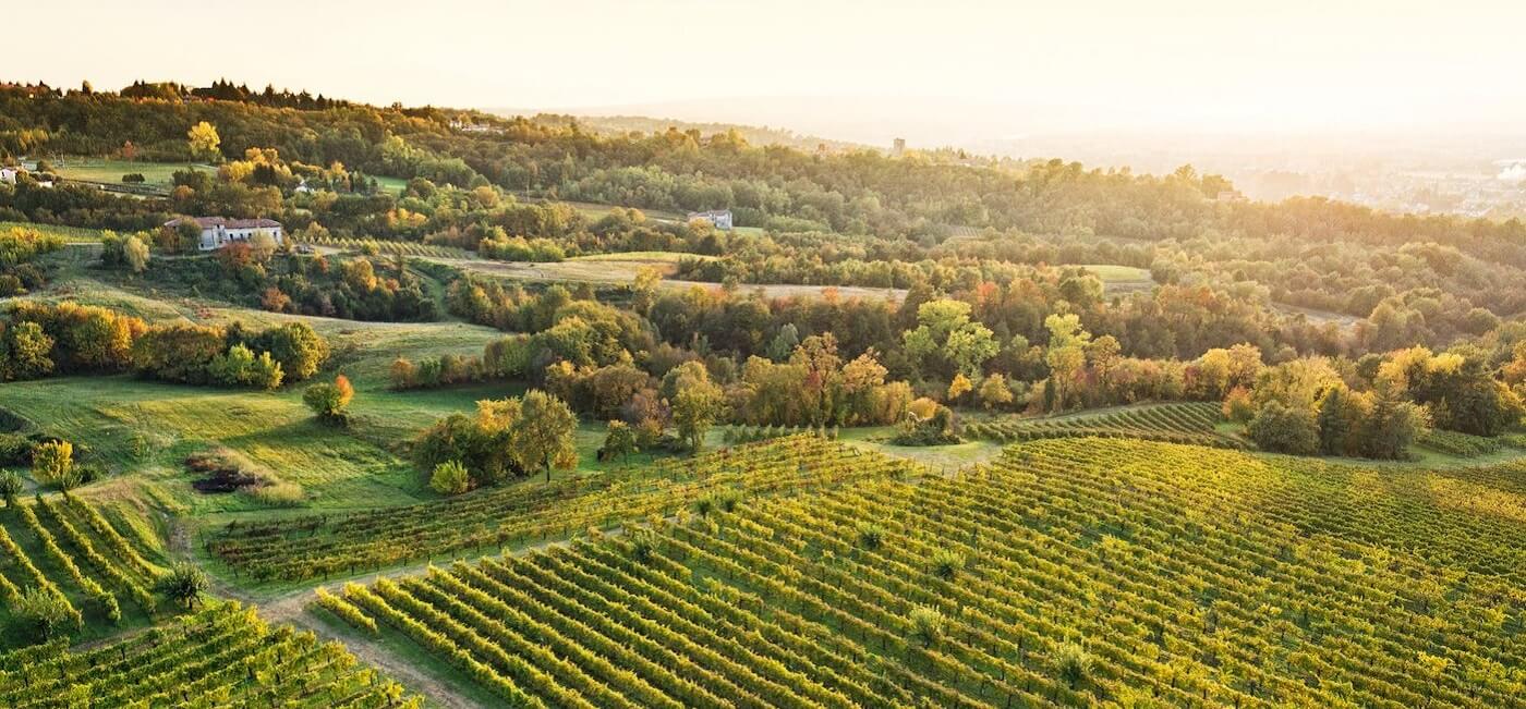 Tenuta degli Ultimi