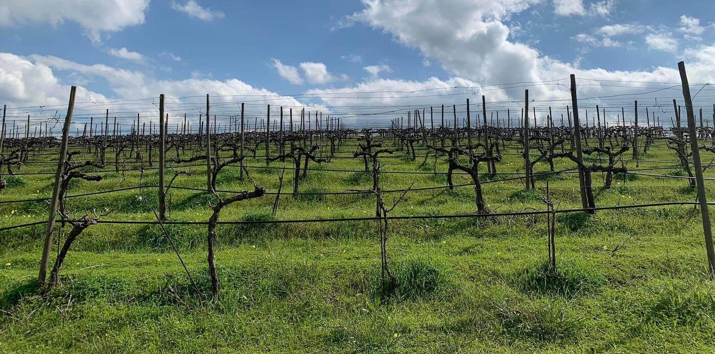 Domaine Paterianakis