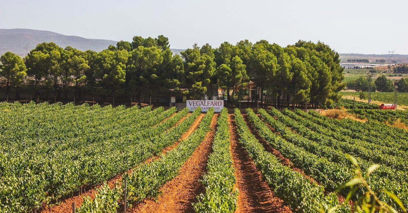 Bodegas Vegalfaro