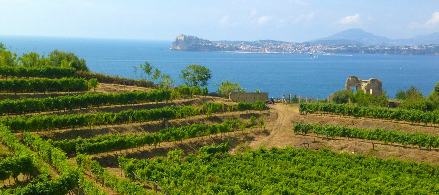 Cantine del Mare