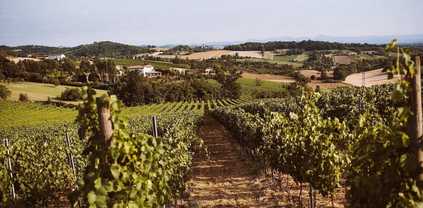 Azienda Agricola La Colombera