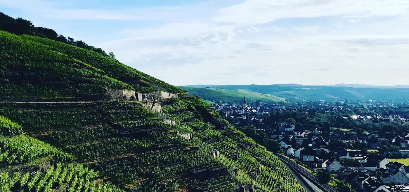 Weingut J.J. Adeneuer