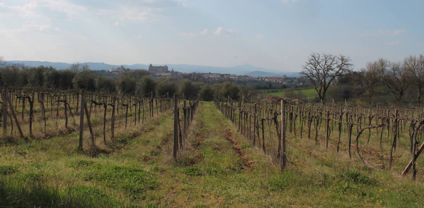 Tenuta Le Velette