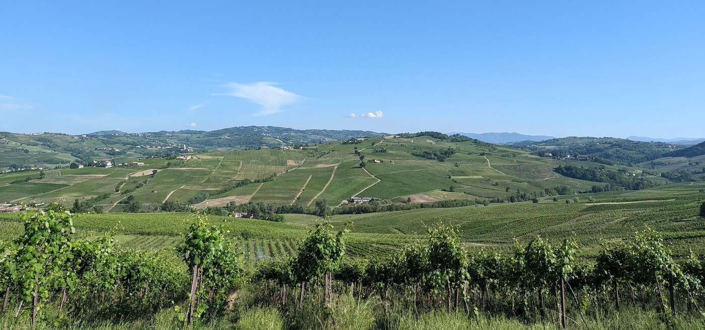 Bertè e Cordini - Cantine Francesco Montagna