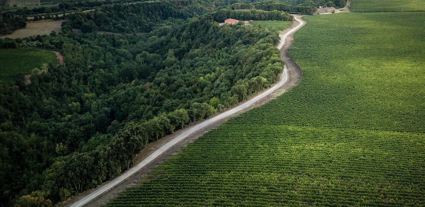 Fattoria Aldobrandesca