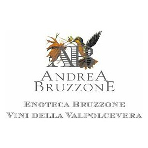 Andrea Bruzzone