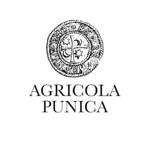 Agricola Punica