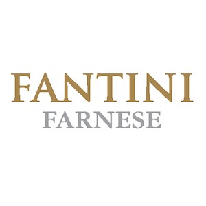 Vini Fantini