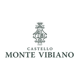 Castello Monte Vibiano