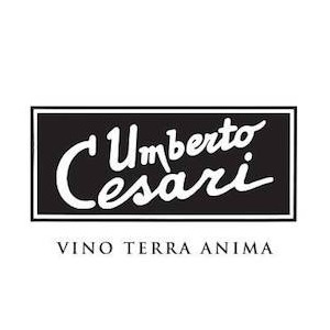 Umberto Cesari