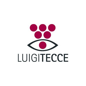 Luigi Tecce