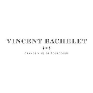 Domaine Bachelet Vincent