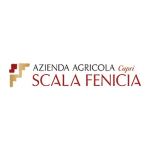 Cantina Scala Fenicia