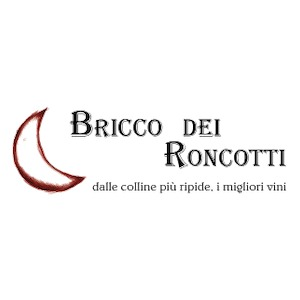 Bricco dei Roncotti